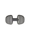 CROCS DUMBBELL JIBBITZ MC
