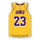 WinCraft - NBA Collector Pin Jewelry Card LeBron James - Los Angeles Lakers MC ONE