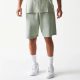 New Era NBA Los Angeles Lakers Shorts Pastel Green L