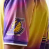 New Era NBA Los Angeles Lakers All Over Print T-Shirts Purple