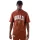 New Era NBA Core Plus Chicago Bulls Tee Brown