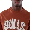 New Era NBA Core Plus Chicago Bulls Tee Brown