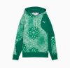 Puma Shooting Stars Hoodie Wild Green S