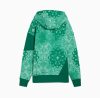 Puma Shooting Stars Hoodie Wild Green S