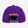 MITCHELL & NESS LOS ANGELES LAKERS TEAM GROUND REDLINE STRETCH SNAPBACK PURPLE
