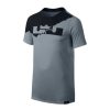 Nike Boys LeBron Logo Graphic T-Shirt GREY