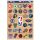 WinCraft - NBA Multi-Use Decal 11x17 Mixed Teams MC ONE