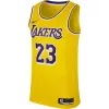 NIKE X NBA LEBRON JAMES LOS ANGELES LAKERS ICON EDITION SWINGMAN JERSEY AMARILLO/FIELD PURPLE/WHITE/JAMES LEBRON