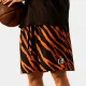 Dunk Shorts Tiger Beat 2XS