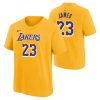 NIKE NBA LOS ANGELES LAKERS LEBRON JAMES BOYS ICON N&N TEE AMARILLO S