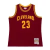 Mitchell & Ness NBA Cleveland Cavaliers 2015 Lebron James Road Swingman Jersey Cardinal