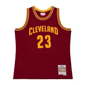   Mitchell & Ness NBA Cleveland Cavaliers 2015 Lebron James Road Swingman Jersey Cardinal