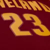Mitchell & Ness NBA Cleveland Cavaliers 2015 Lebron James Road Swingman Jersey Cardinal