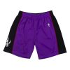 Mitchell & Ness shorts Swingman Shorts Toronto Raptors 1999-00 PURPLE