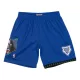 Mitchell & Ness Minnesota Timberwolves Swingman Shorts Royal