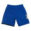 Mitchell & Ness Minnesota Timberwolves Swingman Shorts Royal