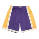 MITCHELL & NESS NBA LOS ANGELES LAKERS SWINGMAN SHORTS PURPLE L