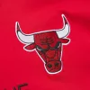 Mitchell & Ness NBA Premium Nickname Ss Tee Vintage Logo Chicago Bulls  Dennis Rodman Red