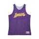 Mitchell & Ness NBA Reversible Mesh Practice Tank Vintage Logo Los Angeles Lakers Multi-Purple
