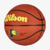 WILSON NBA TEAM ALLIANCE BSKT INDIANA PACERS BROWN