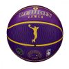WILSON NBA PLAYER ICON OUTDOOR BSKT LEBRON JAMES Yellow/Purple 7