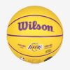 WILSON NBA PLAYER ICON MINI BSKT LEBRON JAMES Yellow/Purple 3