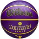 WILSON NBA PLAYER ICON OUTDOOR BSKT LEBRON 7