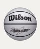 Wilson NBA Player Icon UV Lebron James BSKT Grey