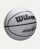 Wilson NBA Player Icon UV Jayson Tatum BSKT Grey